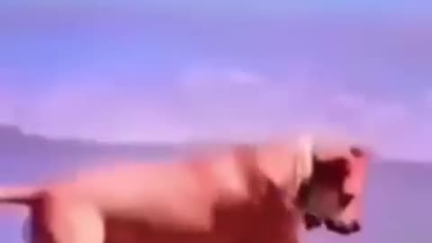 Funny video😊😊😊😊😊