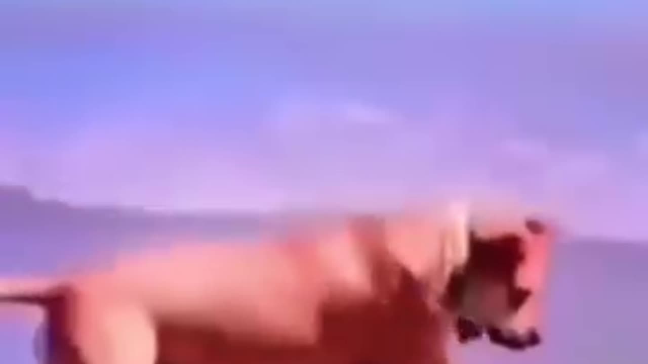 Funny video😊😊😊😊😊