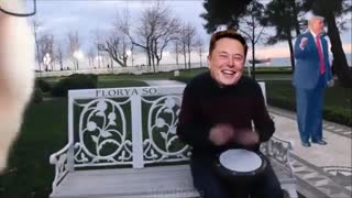 Twitter after Elon bought it