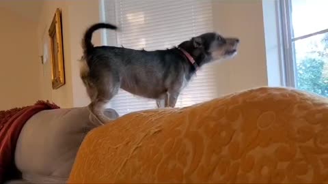 Penny sees a walker