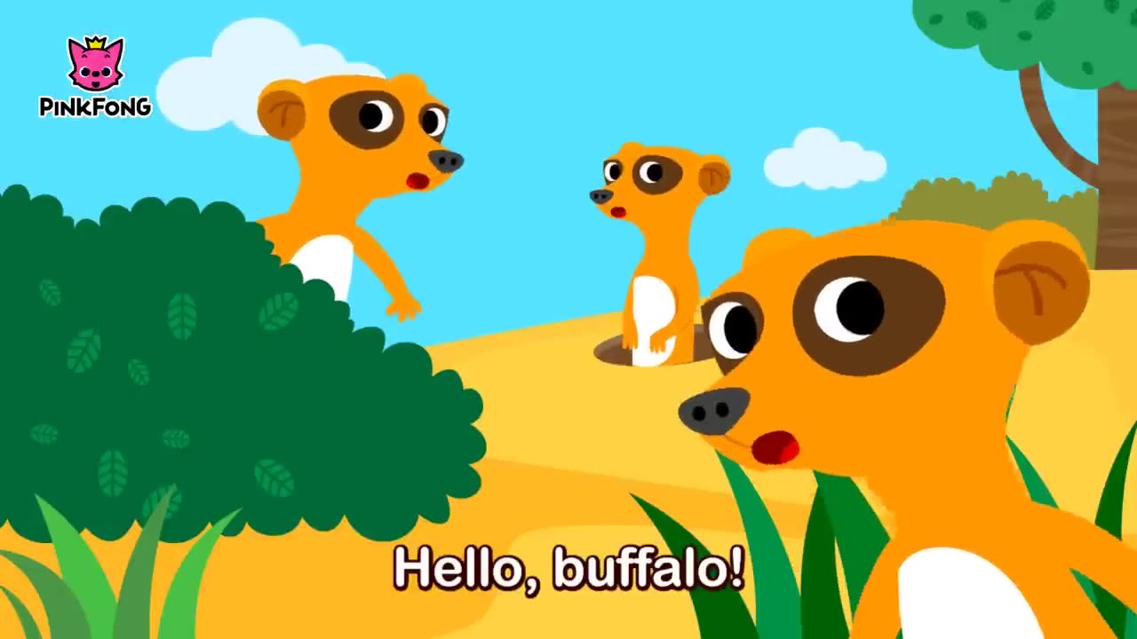 FOLLOW ME BUFFALO ! BUFFALO ! ANIMAL SONGS ! PINKFONG ! SONGS FOR KIDS !!!