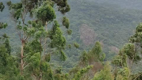 view from munnar top station