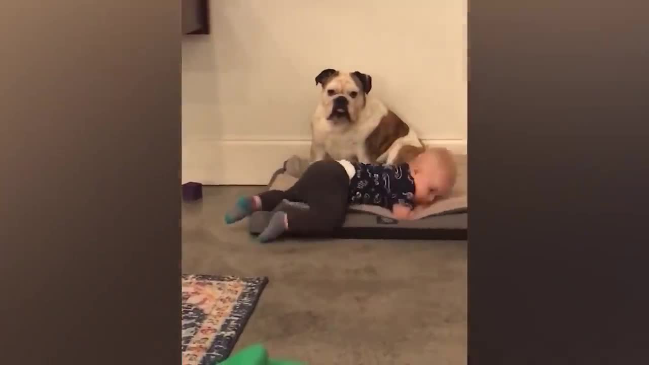 Babies Playing with Dogs!