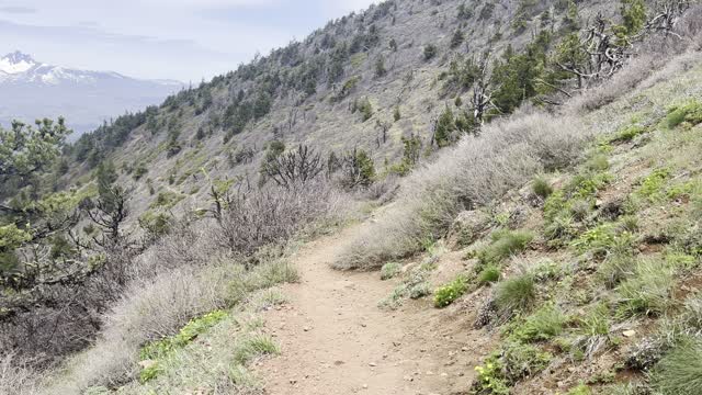 Hiking Down Black Butte Trail – Deschutes National Forest – Central Oregon – 4K