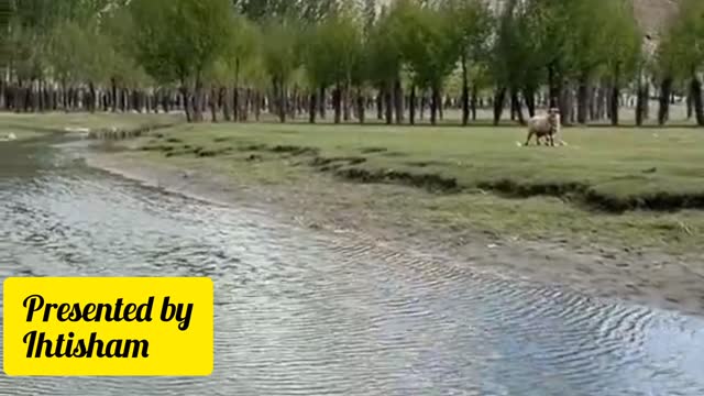 Phander valley, Gilgit Baltistan in Pakistan