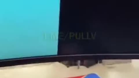 Professional gamer