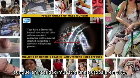 PFIZER: "CULPABLES DE ASESINATO EN MASA" ÚNETE AL ⏰️ DESPERTADOR DE LA MATRIX