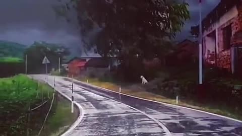 Rain on road !! Peaceful hill