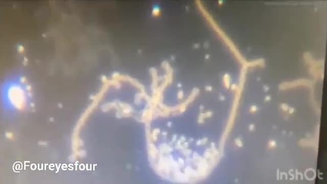 これは、covid ワクチンによって 血液に侵入したヒドラ寄生虫です。