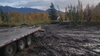 Loading and unloading massive trees