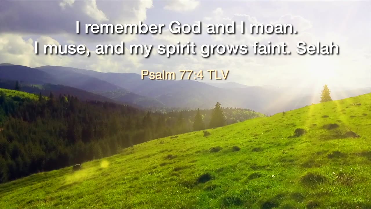 TEFILLAH_Reflections on Prayer S02E07