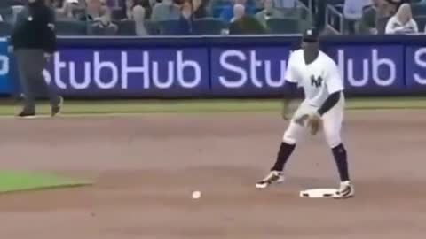 Good shot, huh