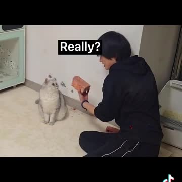 Laught out loud 😆😆😆