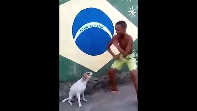 Dancing Dog 💥💥😂