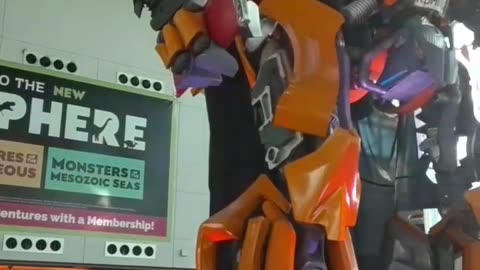 Flashback. Bumblebee with sun, chewing gum, trick or treat bag.