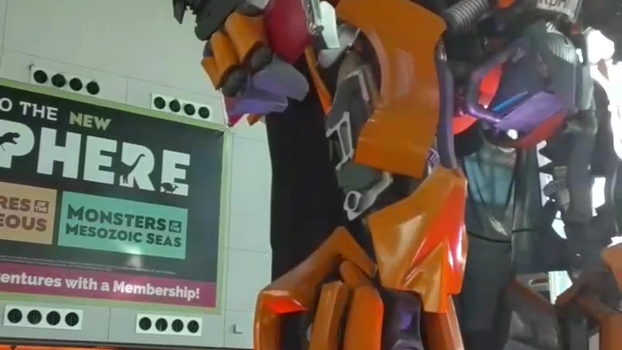 Flashback. Bumblebee with sun, chewing gum, trick or treat bag.