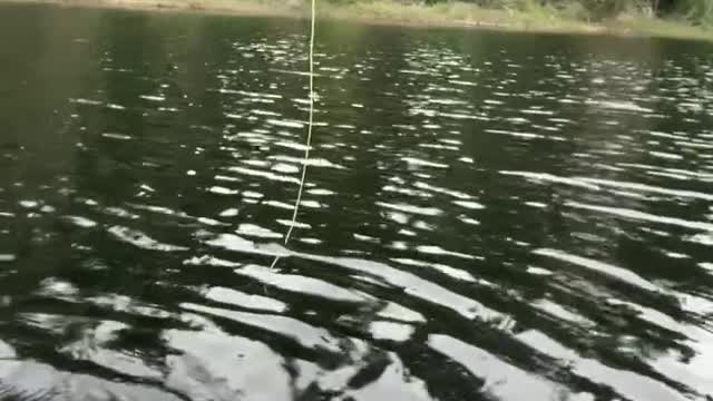 Patriot Fishing part 4-1