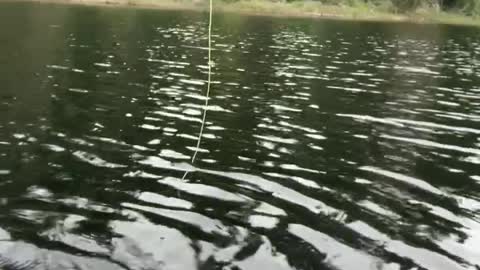 Patriot Fishing part 4-1