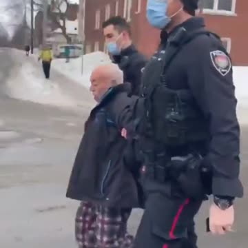 Canadian Police Assault 78-Year Old Man for Honking in Support of Truckers