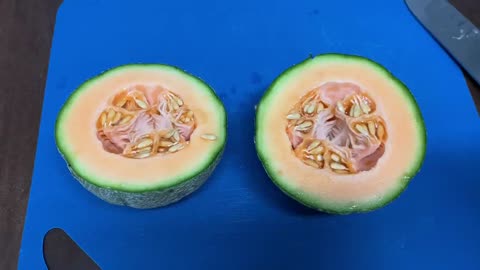 What's Eating My Cantaloupe?