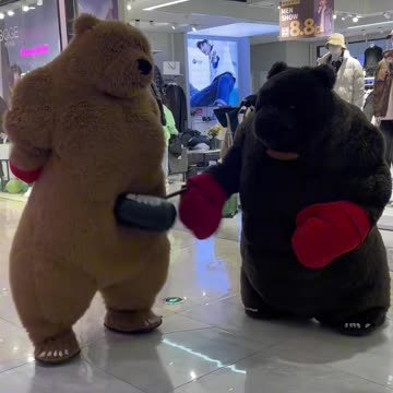 Hurry up and apologize to him. Funny Video. Costumes, Fun,