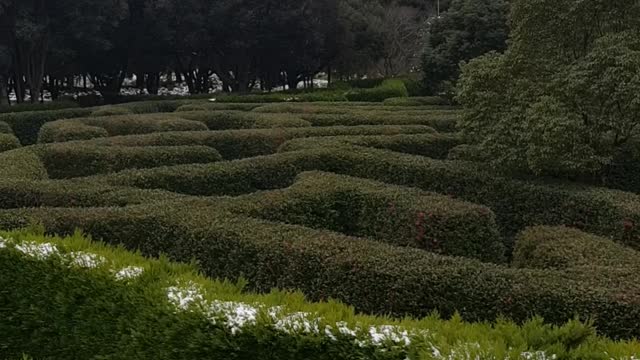 Jeju maze land short view