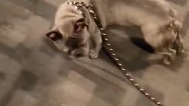 Funny