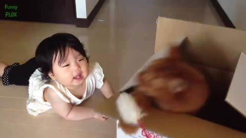 Dogs and baby viral dog baby ki video