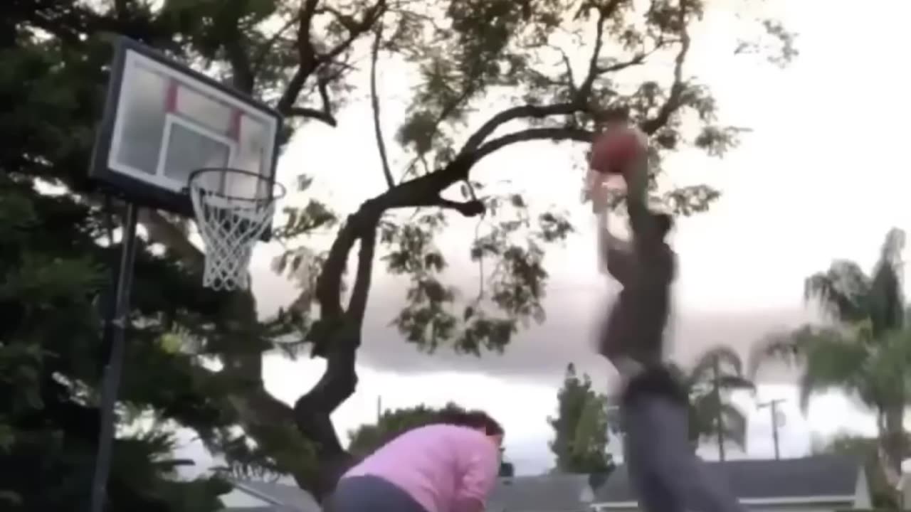 I promise you will laugh