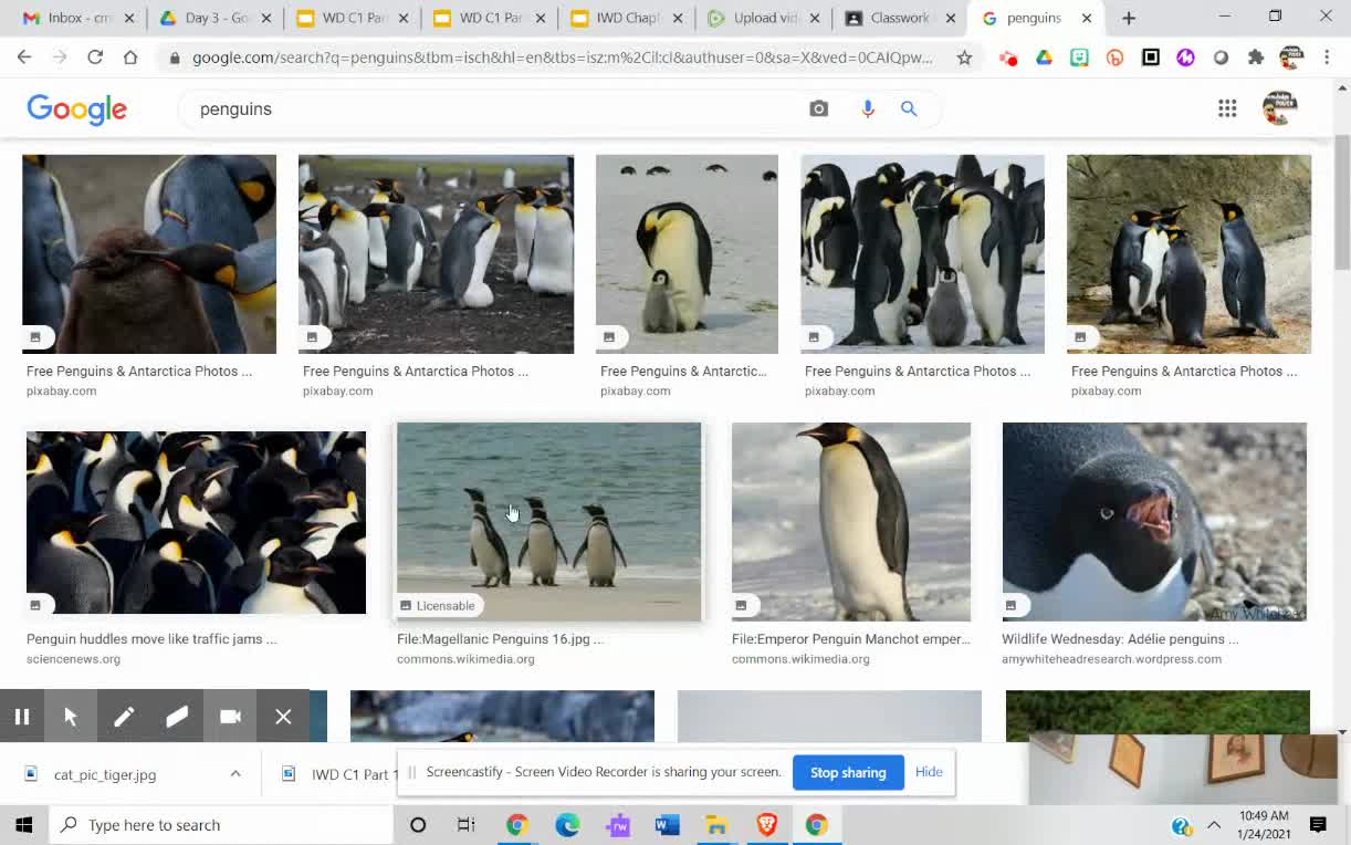 IWD C1 Day 3 Part 2 Downloading Images