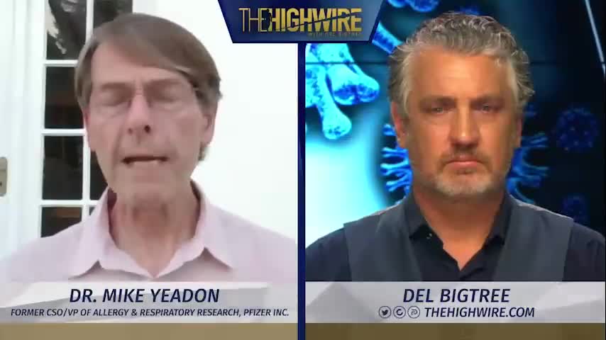 Dr Mike Yeardon - All is revealed. The shocking truth of it all. - The Highwire