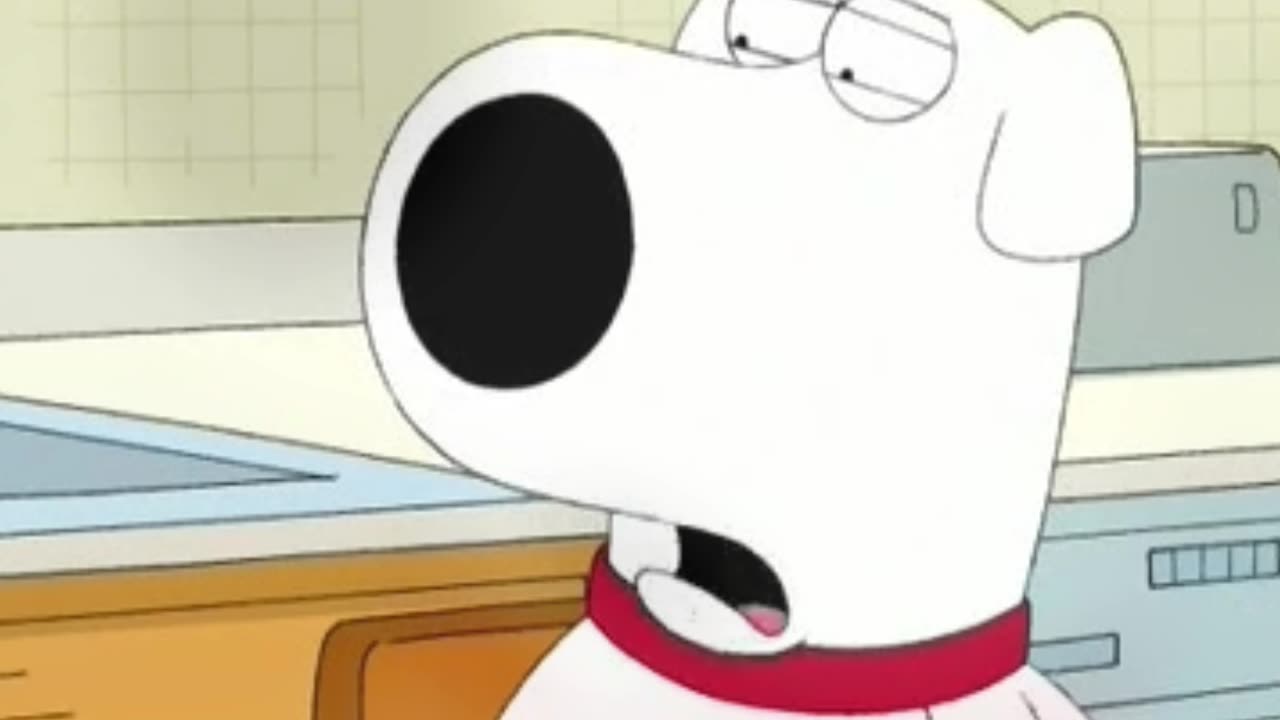 What Stewei have done😨😱