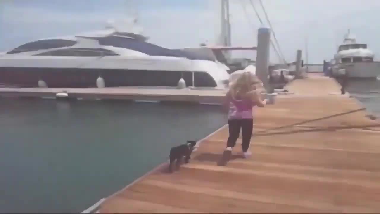 Interesting Animal Tik Toks That Will Make Your Day | Funny Dogs and Cats |