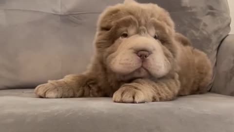 Don’t laugh at me please 😍😍😊