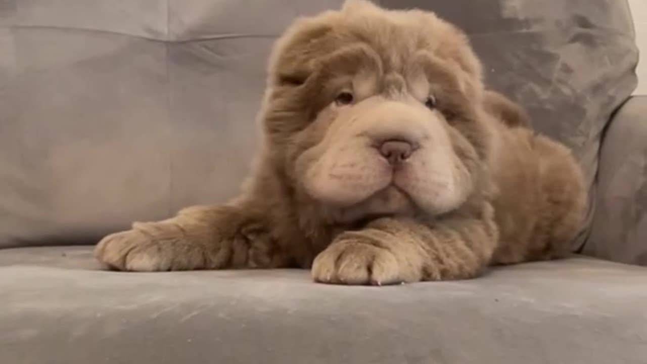 Don’t laugh at me please 😍😍😊