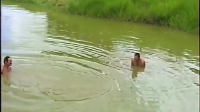 Cool capybara having fun with his friends