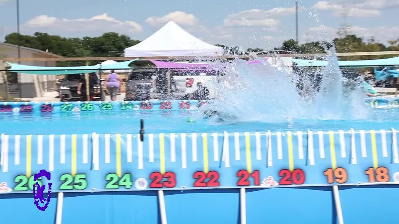 Coolwag Diving Dogs in Bentonville, Arkansas. Next competition is April 23-25, 2021