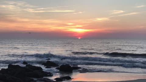 Pelican at Sunrise