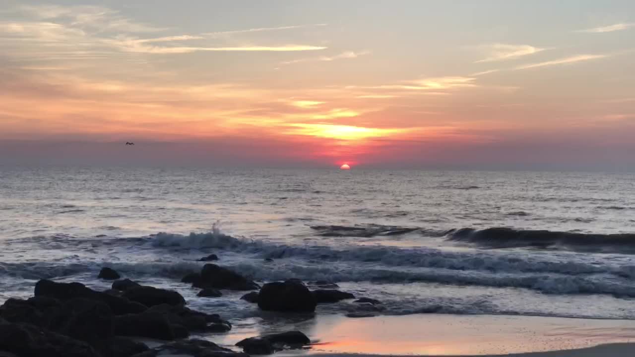 Pelican at Sunrise