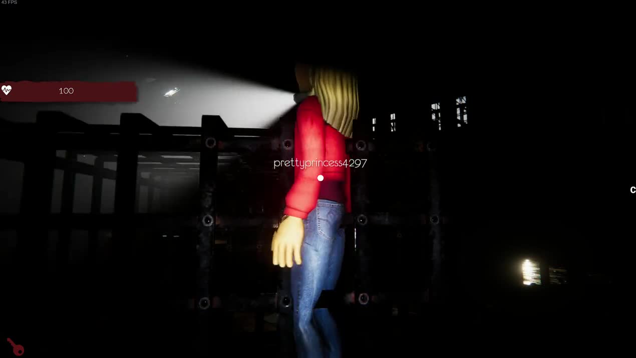 Stuck In The Cage