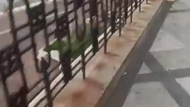 17 settembre 2021 Reggio Calabria Nicola e stato portato in questura