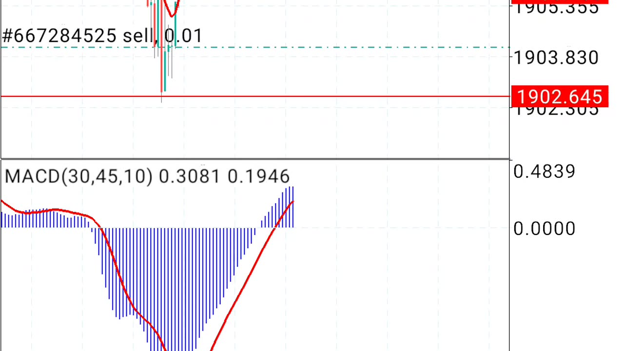 Cent account trading