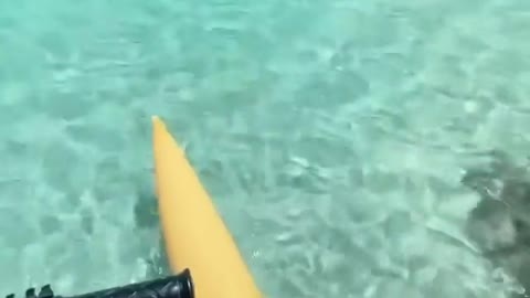 What is he driving in the sea?