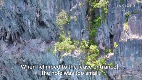 88. CC : 5 of the most dangerous jobs in the world