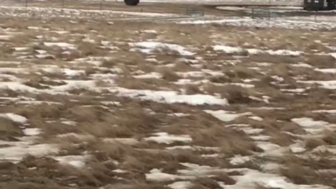 Strong Winds Effortlessly Blows Hay Bale Around