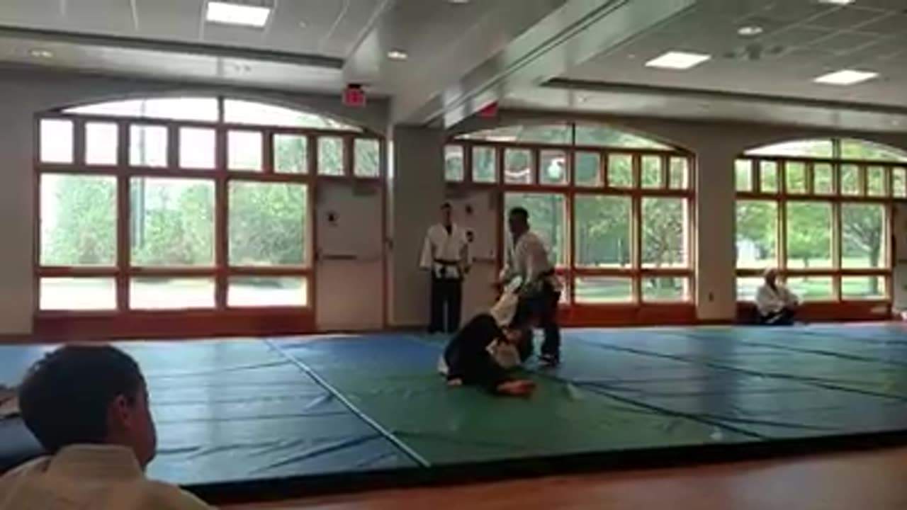 Hapkido