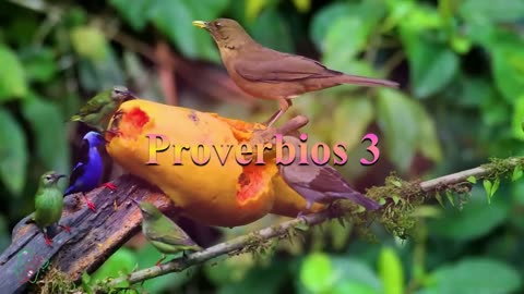 Proverbios 3 Reina-Valera 1960