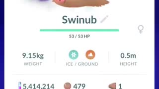 Pokémon GO-Shadow Swinub