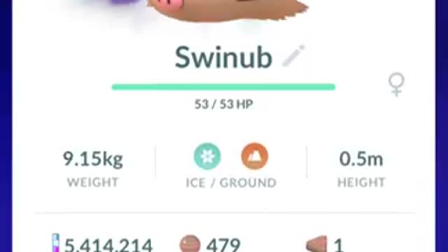 Pokémon GO-Shadow Swinub
