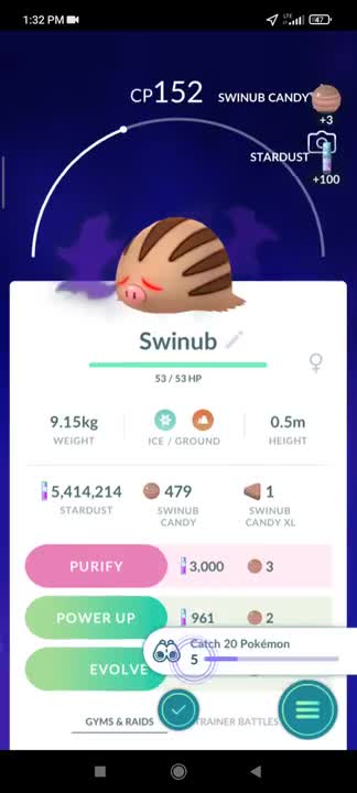 Pokémon GO-Shadow Swinub